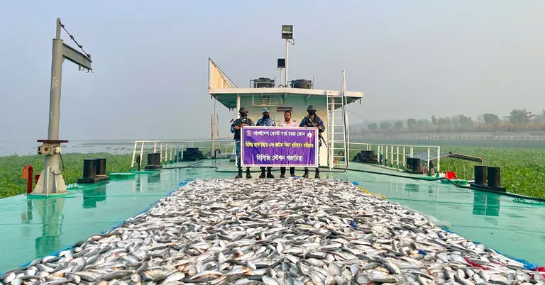 অভিযানে জব্দকৃত জাটকা